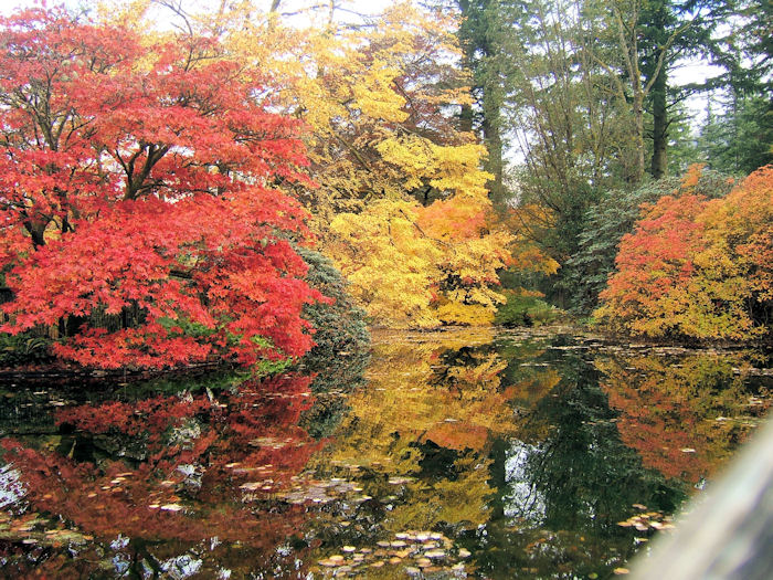 Autumn